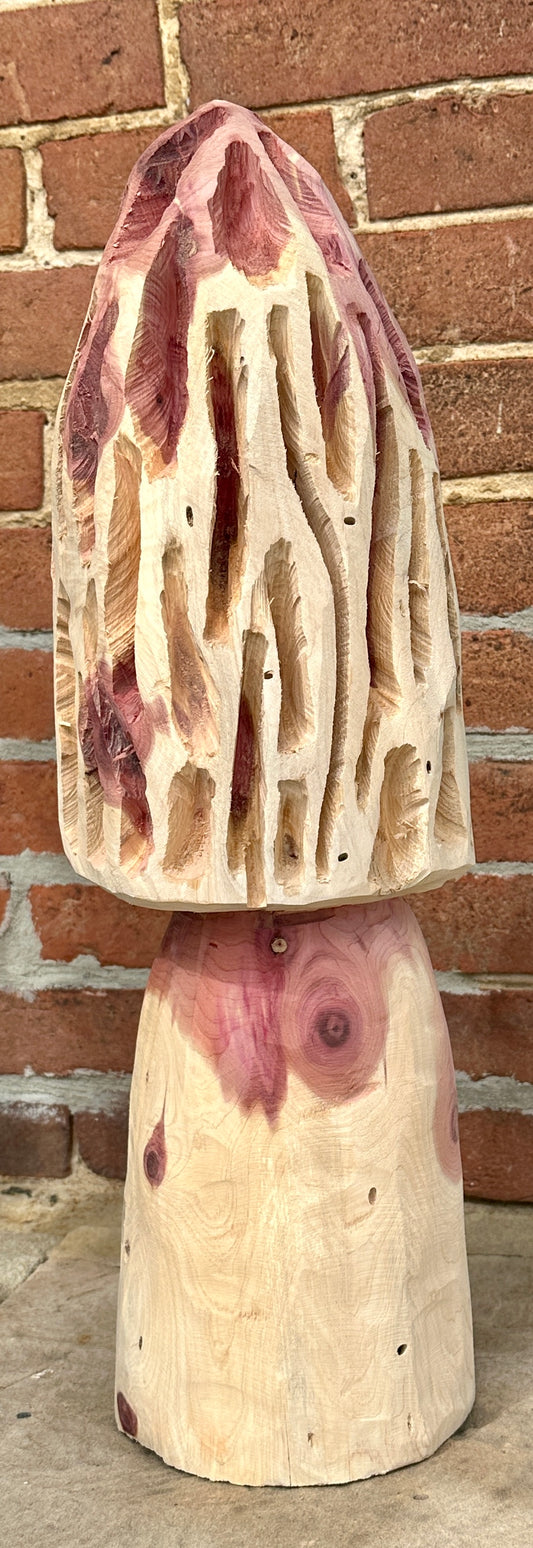 Cedar Mushroom - Chainsaw and Hand Carved by Kenneth Blak