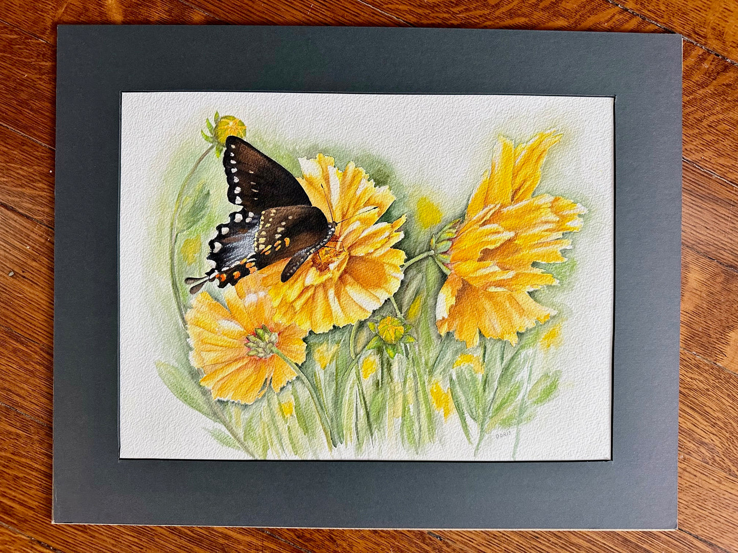 Black Swallowtail Butterfly - Watercolor Painting by Sr. Doris Market