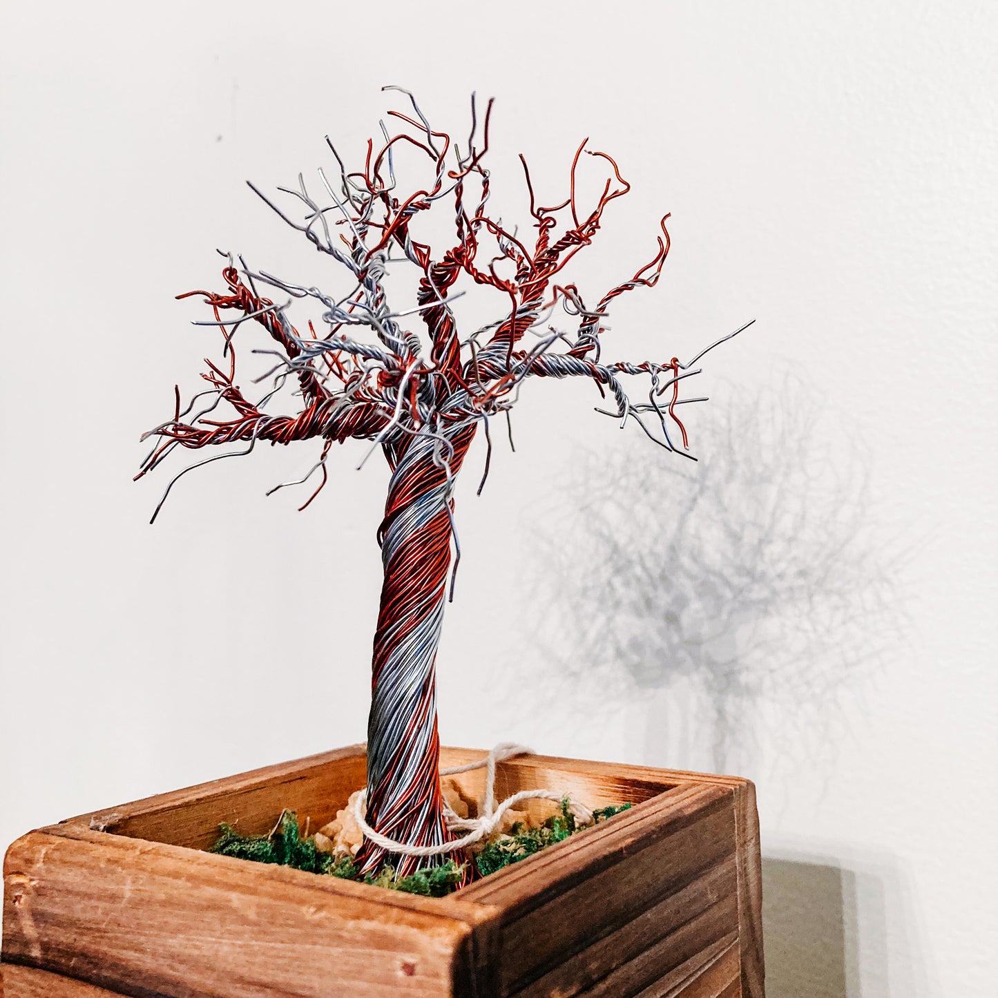 Copper Serenity: 7-½" Twisted Wire Tree in Wooden Box by Don Corn