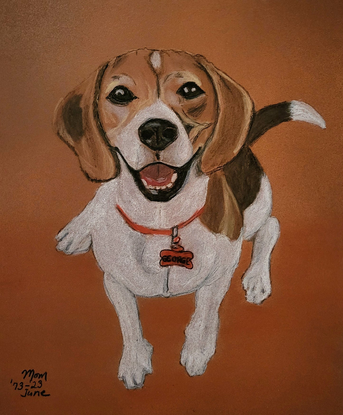 Custom Pet Portrait