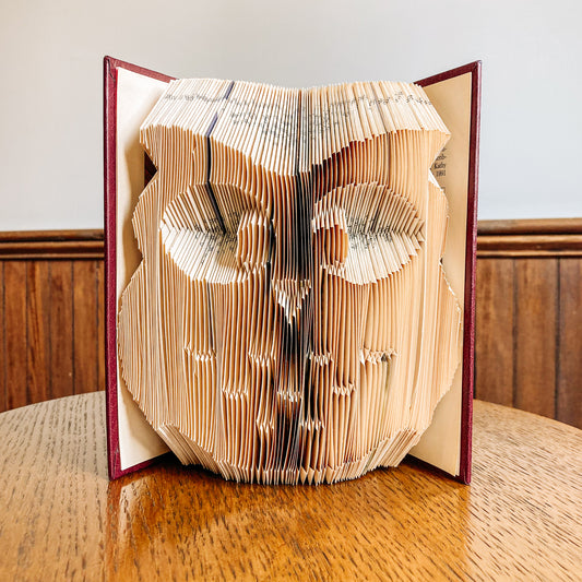 Folded Owl Book