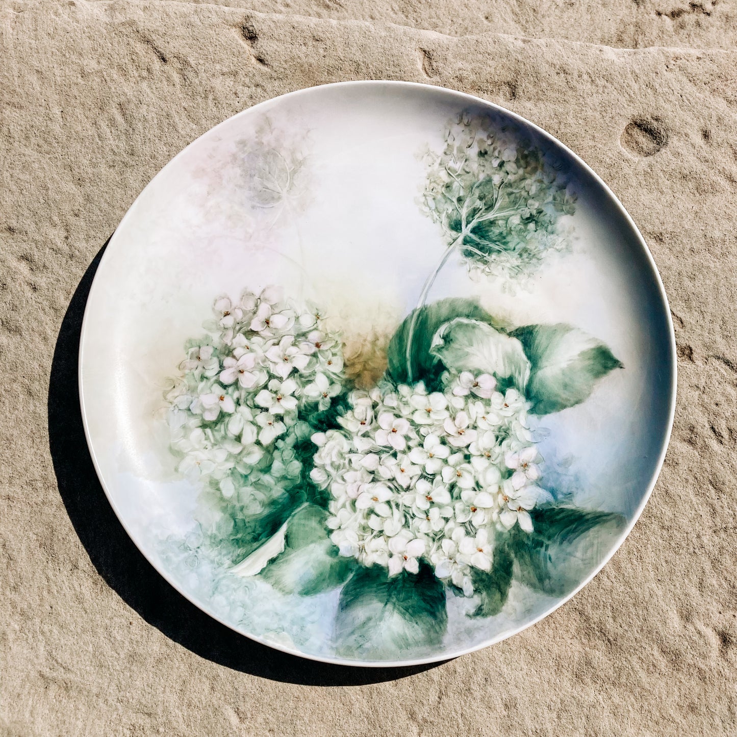 White Hydrangea Plate