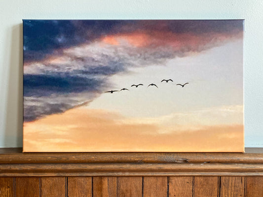 Birds in Flight - Photograph by Carol Troesch on 20" x 12" Canvas